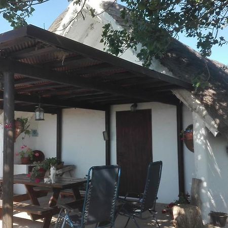 La Barraca D'En Salvador Villa Deltebre Bagian luar foto