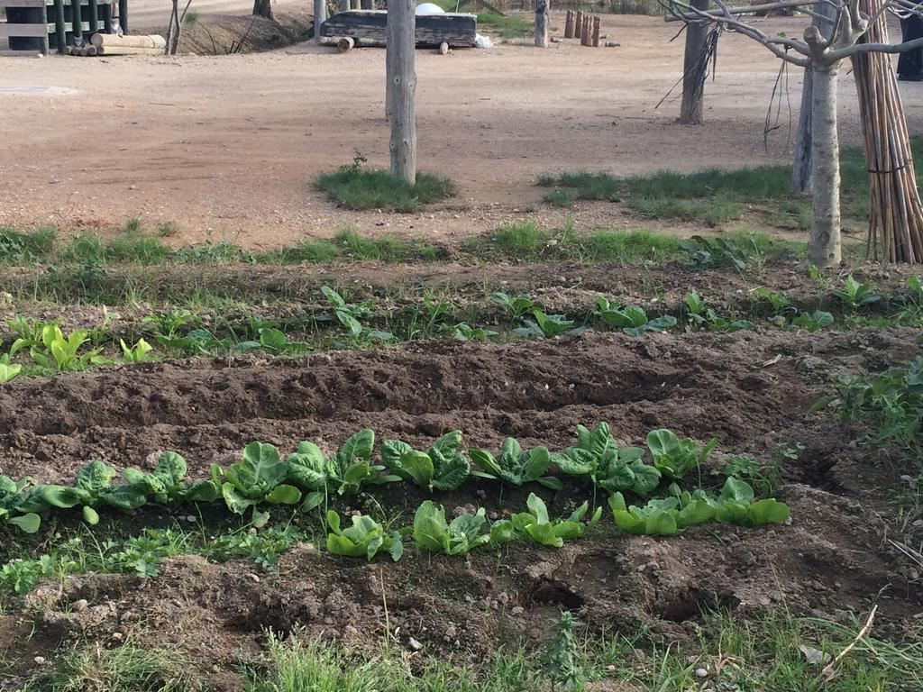La Barraca D'En Salvador Villa Deltebre Bagian luar foto
